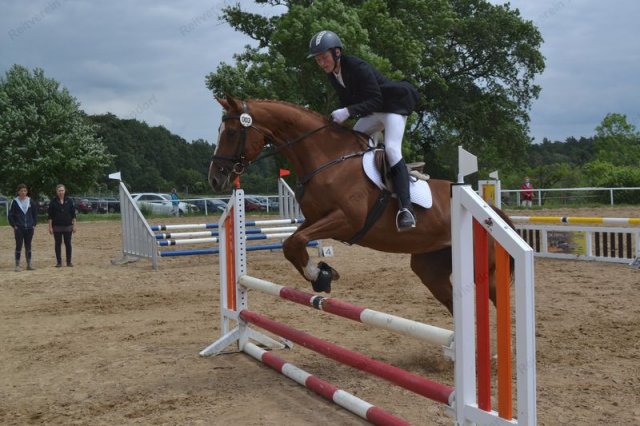 reitertag 2013 97